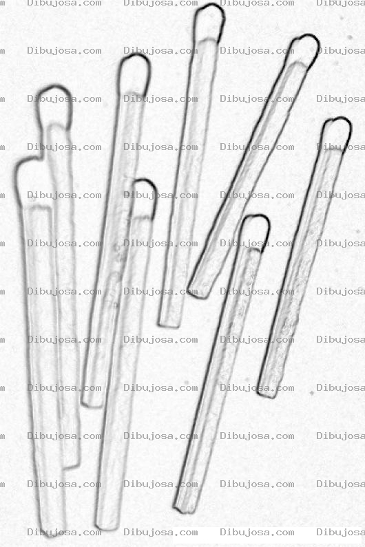Dibujo para colorear Dibujo De Cerillos Para Pintar Palitos De Fosforos Para Colorear