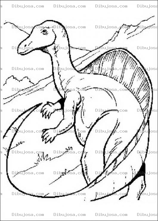 Dibujo para colorear Dinosaurio de aleta larga