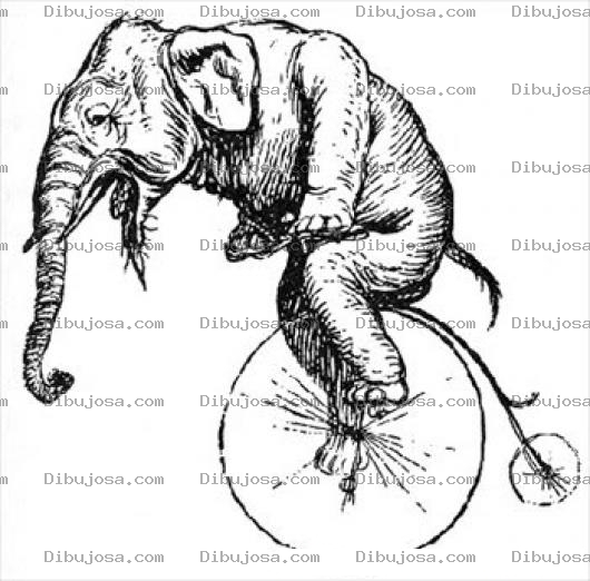 Dibujo para colorear Dibujo De Elefante En Bicicleta Para Pintar Y Colorear