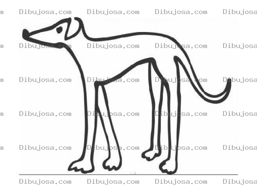 Dibujo para colorear Perro Delgado Para Pintar Y Colorear A Un Galgo