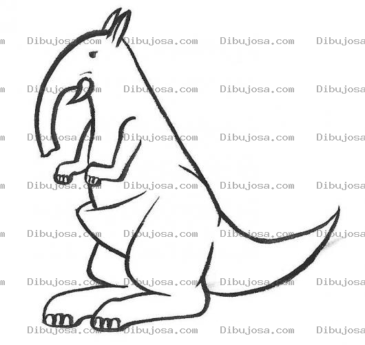 Dibujo para colorear Dibujo De Oso Hormiguero Con Bolsa De Canguro Para Pintar Y Colorear