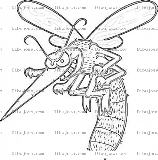 Dibujo para colorear Dibujo De Mosquito Malvado Para Pintar Y Colorear
