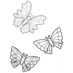 Dibujo para colorear Dibujo De 3 Mariposas Para Pintar Y Colorear Tresmariposas