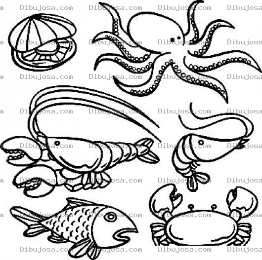 Dibujo para colorear Dibujo De Mariscos Para Pintar Y Colorear Comidad Del Mar