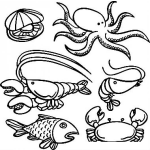 Dibujo para colorear Dibujo De Mariscos Para Pintar Y Colorear Comidad Del Mar