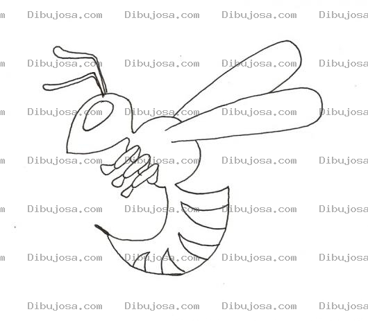 Dibujo para colorear Dibujo De Aveja Picona Para Pintar Y Colorear