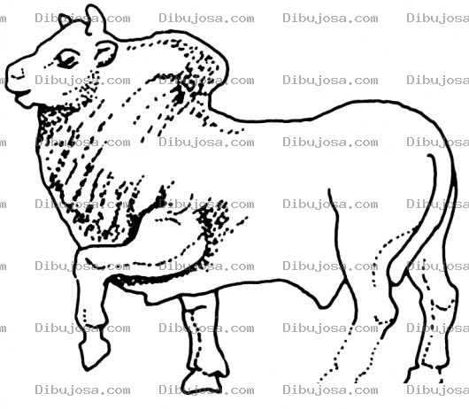 Dibujo para colorear Dibujo De Un Toro Con Joroba Para Pintar Y Colorear
