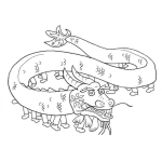 Dibujo para colorear Dibujo De Dragon Chino Para Pintar Y Colorear