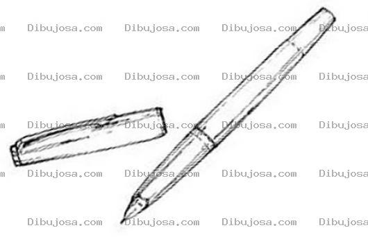 Dibujo para colorear Dibujo De Pluma Parker Para Pintar Y Colorear