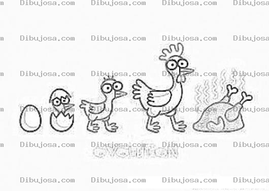 Dibujo para colorear La Evolucion Del Pollo Para Pintar Y Colorear Polloevolution
