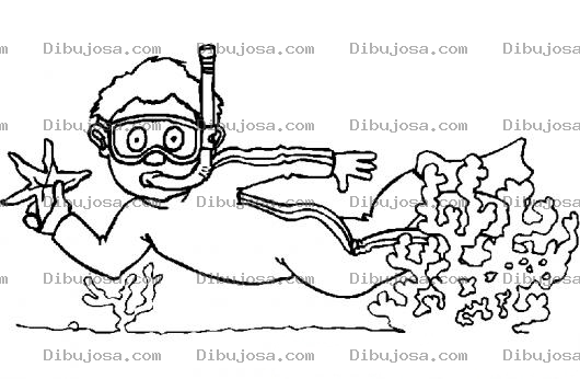 Dibujo para colorear Dibujo De Un Buzo Buceando Con Un Snorkel Recogiendo Estrellas De Mar Para Colorear