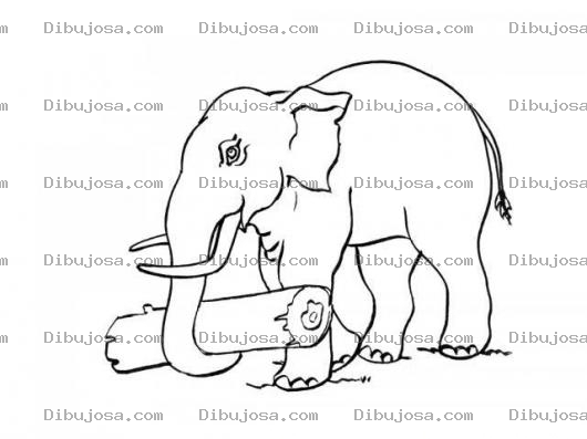 Dibujo para colorear Dibujo De Elefante Con Un Tronco En La Trompa Para Pintar Y Colorear