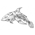 Dibujo para colorear Tiburon Mecanico Dibujo De Robot Tiburon Para Pintar Y Colorear Tiburon 3D