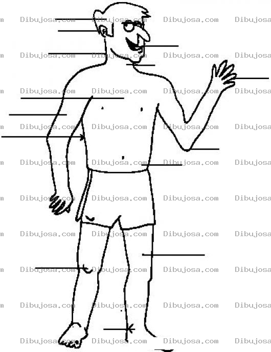 Dibujo para colorear Partes Del Cuerpo Humano Para Nombrar Pintar Y Colorear