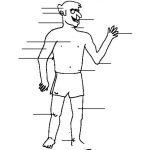 Dibujo para colorear Partes Del Cuerpo Humano Para Nombrar Pintar Y Colorear