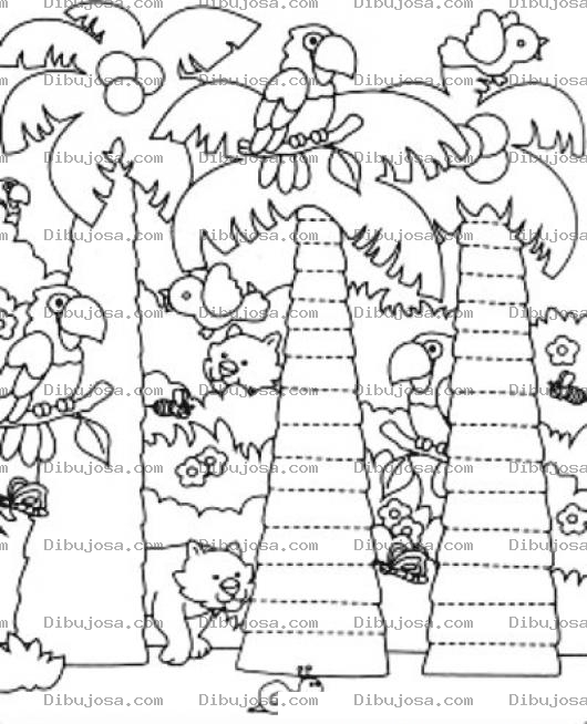 Dibujo para colorear Dibujo De Aniamlitos En La Jungla Para Pintar Y Colorear