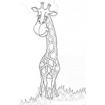 Dibujo para colorear Jirafita Timida Dibujo De Jirafa Chiviada Para Pintar Y Colorear