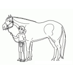 Dibujo para colorear Dibujo De Una Ninca Con Un Caballo Para Pintar Y Colorear