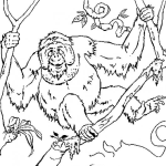 Dibujo para colorear Dibujo De Orangutan En Un Arbol Para Pintar Y Colorear