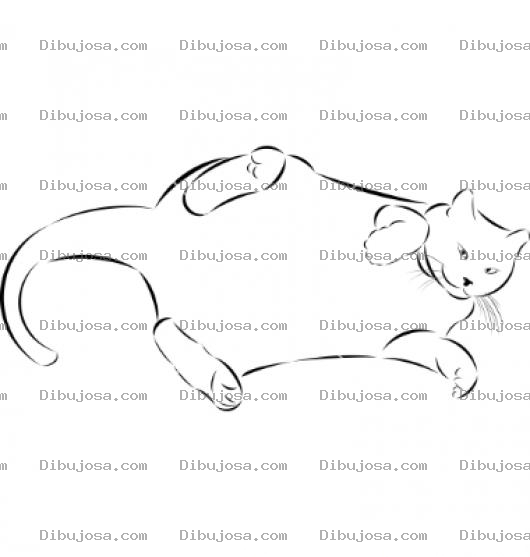 Dibujo para colorear Dibujo De Gato Gordo Para Pintar Y Colorear