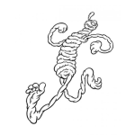 Dibujo para colorear Dibujo De Hombre Lazo Para Pintar Y Colorear