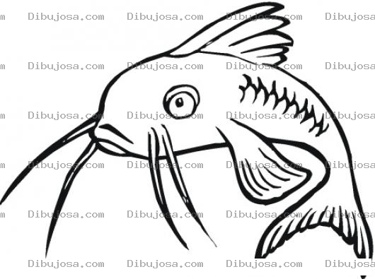 Dibujo para colorear Dibujo De Bagre Pez Gato Para Pintar Y Colorear