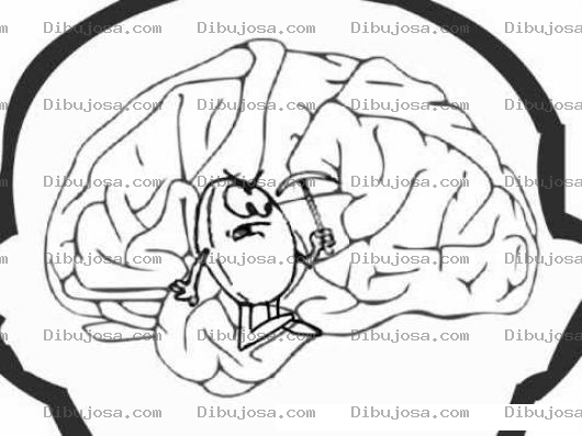 Dibujo para colorear Neuronas Cerebrales Dibujo De Cerebro Trabajando Para Pintar Y Colorear
