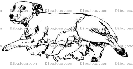 Dibujo para colorear Dibujo De Perra Dando De Mamar A Sus Cachorros Para Pintar Y Colorear Chuca Amamantando Chuchitos
