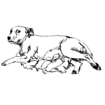 Dibujo para colorear Dibujo De Perra Dando De Mamar A Sus Cachorros Para Pintar Y Colorear Chuca Amamantando Chuchitos