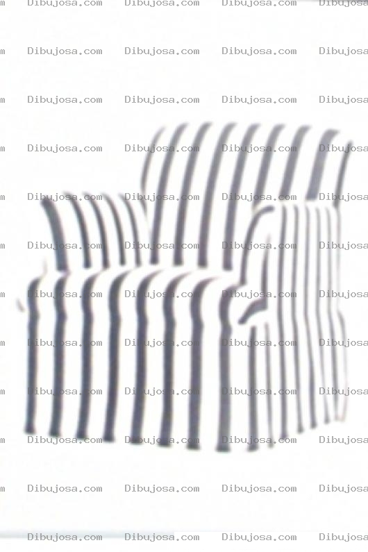 Dibujo para colorear Colorear Sofa Rayado Como Zebra