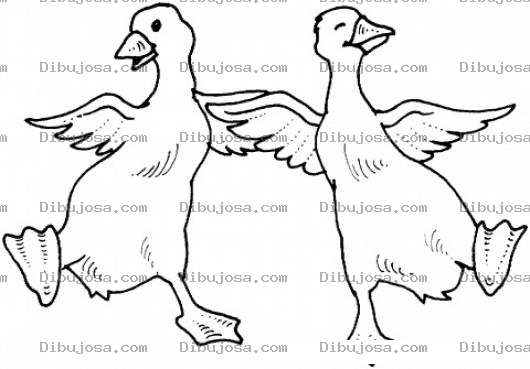 Dibujo para colorear Dos Patos Bailando Para Pintar Y Colorear