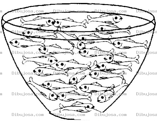 Dibujo para colorear Penty Of Fishes Dibujo De Guacal Lleno De Pscaditos Para Pintar Y Colorear