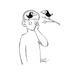 Dibujo para colorear Hombre Cerebro De Pajarito Para Pintar Y Colorear