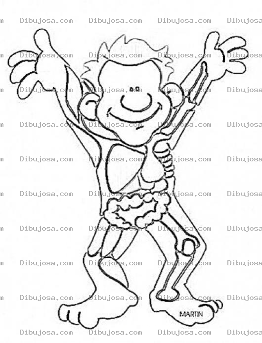 Dibujo para colorear Los Organos Del Cuerpo Humano Para Pintar Y Colorear