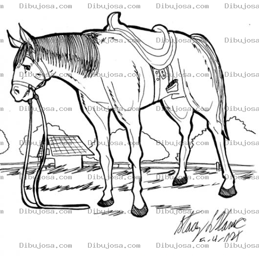 Dibujo para colorear Caballo Manso Y Ensillado Para Pintar Y Colorear