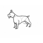Dibujo para colorear Como Dibujar Un Perro Pitbull Para Pintar Y Colorear