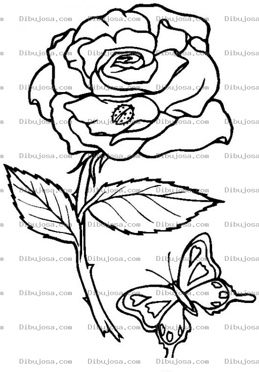 Dibujo para colorear Colorear Rosa con Mariposa