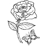 Dibujo para colorear Colorear Rosa con Mariposa