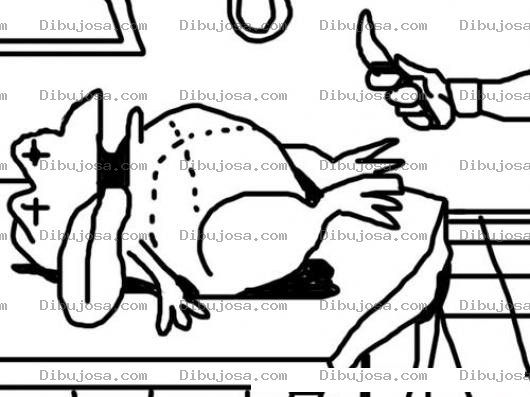 Dibujo para colorear Sapo Muerto Dibujo De Sapo En La Morgue Para Pintar Y Colorear Autopsia De Rana