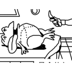 Dibujo para colorear Sapo Muerto Dibujo De Sapo En La Morgue Para Pintar Y Colorear Autopsia De Rana