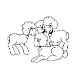 Dibujo para colorear 4 Ovejitas Dibujo De Cuatro Ovejas Para Pintar Y Colorear