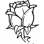 Dibujo para colorear Colorear capullo de rosa