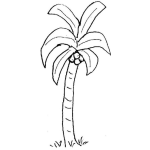 Dibujo para colorear Dibujo De Una Palmera De Cocos Para Pintar Y Colorear Cocal Con 4 Cocos