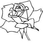 Dibujo para colorear Colorear rosa con lineas rectas