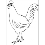 Dibujo para colorear Dibujo de un gallo para pintar