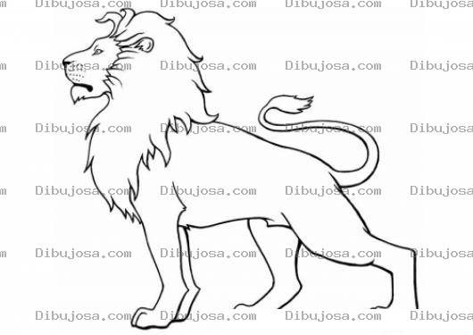 Dibujo para colorear Dibujo De Leon Erguido Y Vigilante Para Pintar Y Colorear