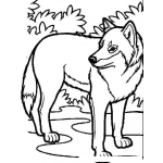 Dibujo para colorear Dibujo De Lobo Para Pintar Y Colorear