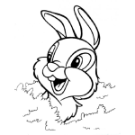 Dibujo para colorear Conejo Entre Matorrales Para Pintar Y Colorear