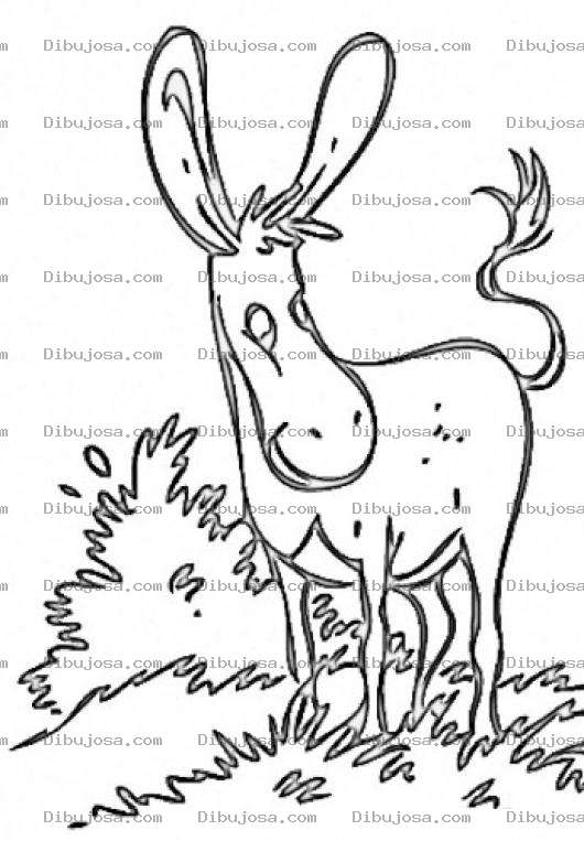 Dibujo para colorear Dibujo De Burro De Orejas Grandes En El Monte Para Pintar Y Colorear