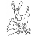 Dibujo para colorear Dibujo De Burro De Orejas Grandes En El Monte Para Pintar Y Colorear